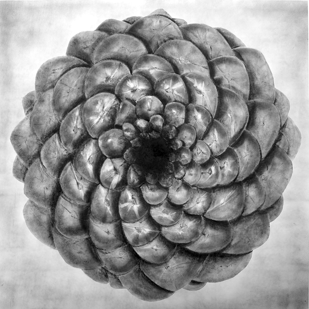 El Universo en una piña