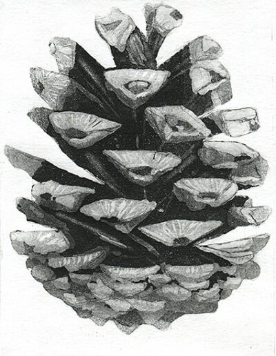 Grabado Pina001